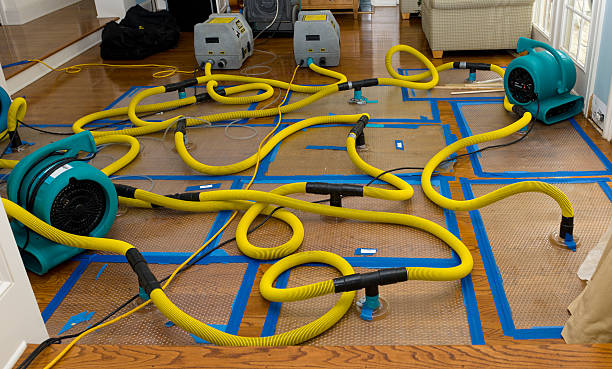Professional Storm Water Damage Restoration technician working in Redding, CA